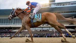 Wood Memorial Stakes Vino Rosso Aqueduct Todd Pletcher Kentucky Derby